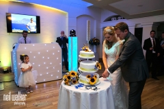 Wedding DJ Hire